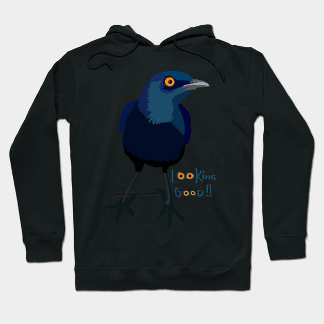 Glossy Starling Hoodie by michdevilish